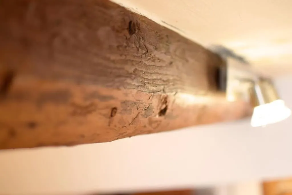 Historische Wohnung Im Herzen Der Regensburger Altstadt Apartment Regensburg